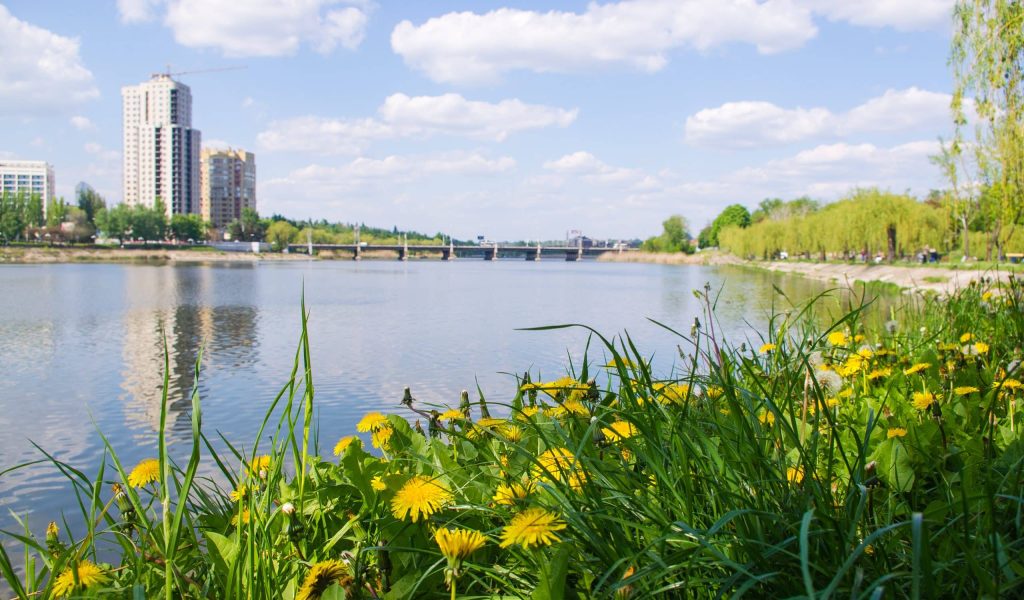 city-park-spring-blooming-trees-green-grass-ri-2026-01-09-13-59-44-utc